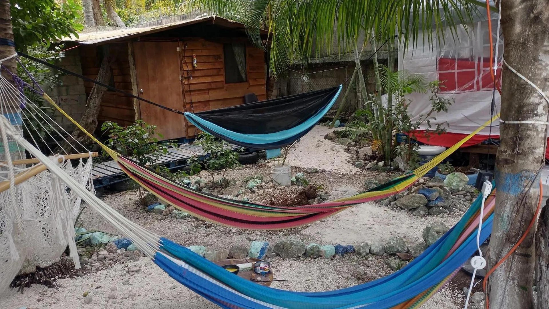 Voluntary & Camping Cozumel Mexikó