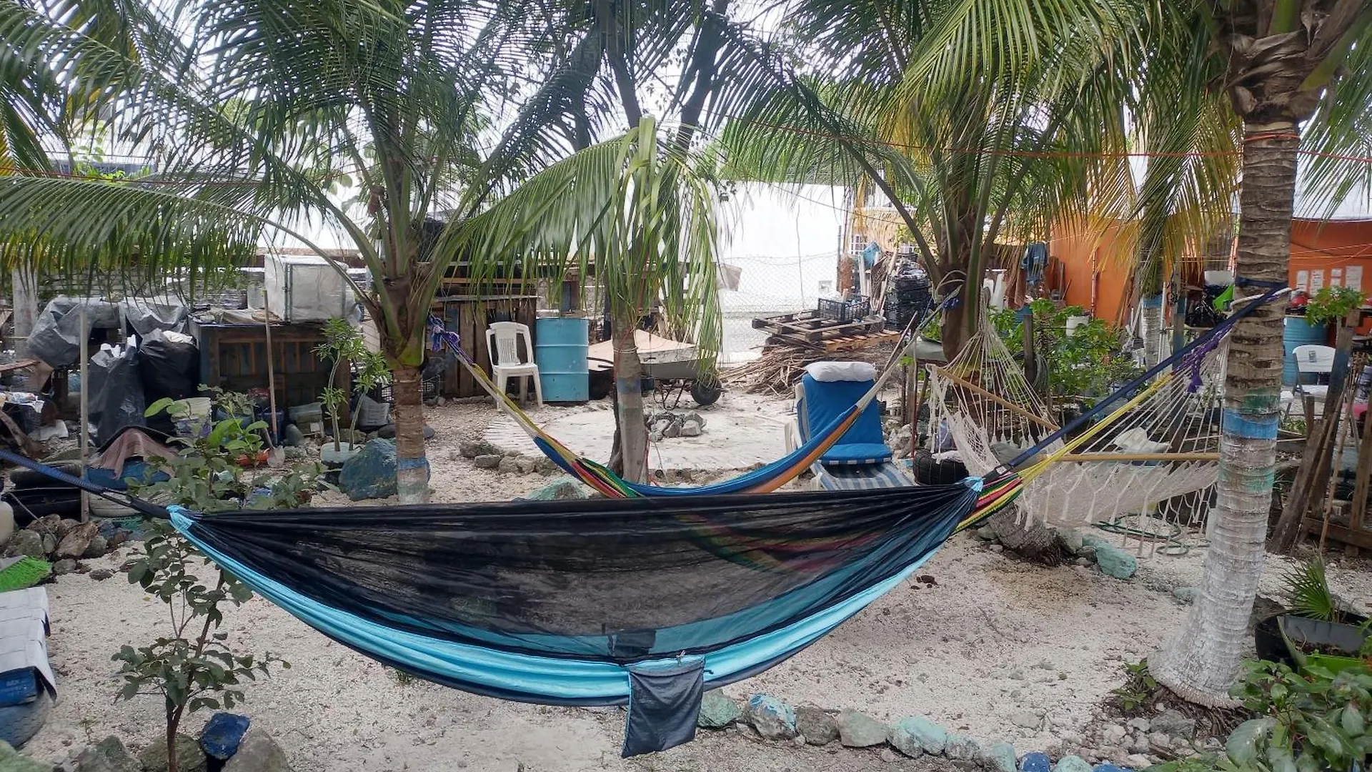 Voluntary & Camping Cozumel Kemping