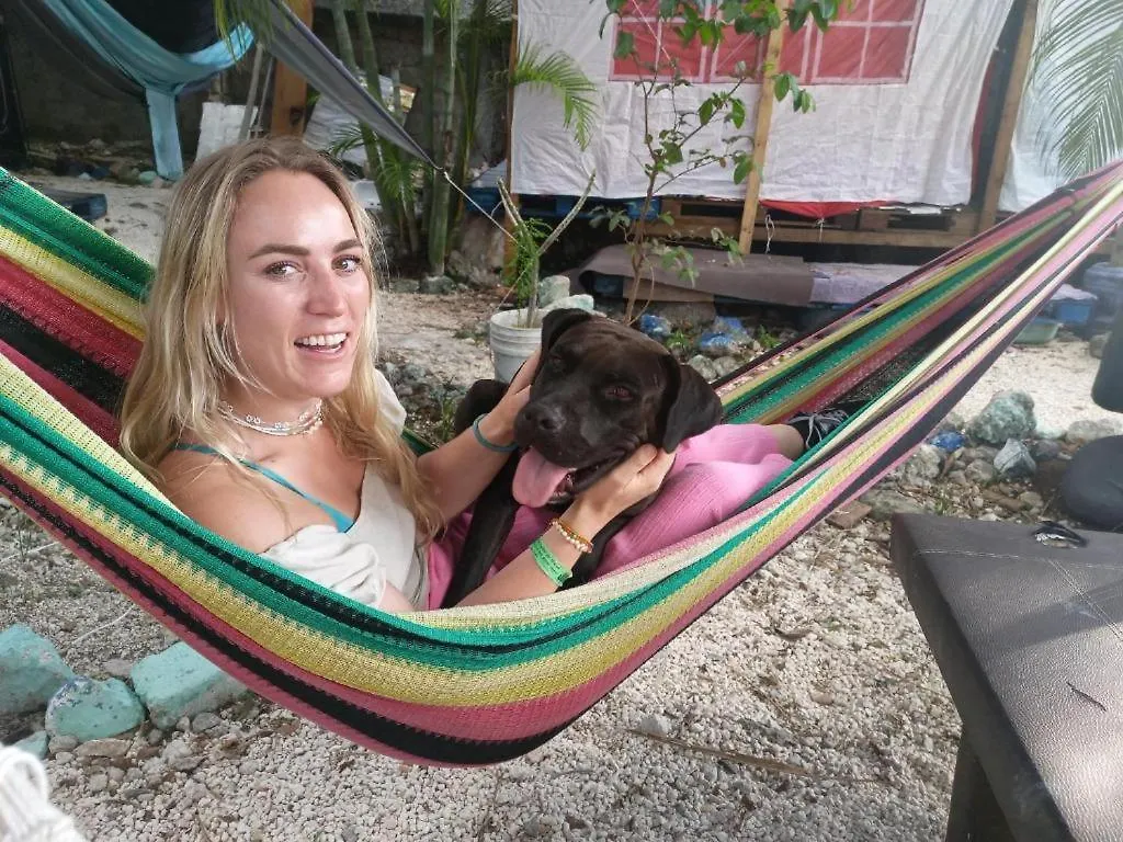 Voluntary & Camping Cozumel