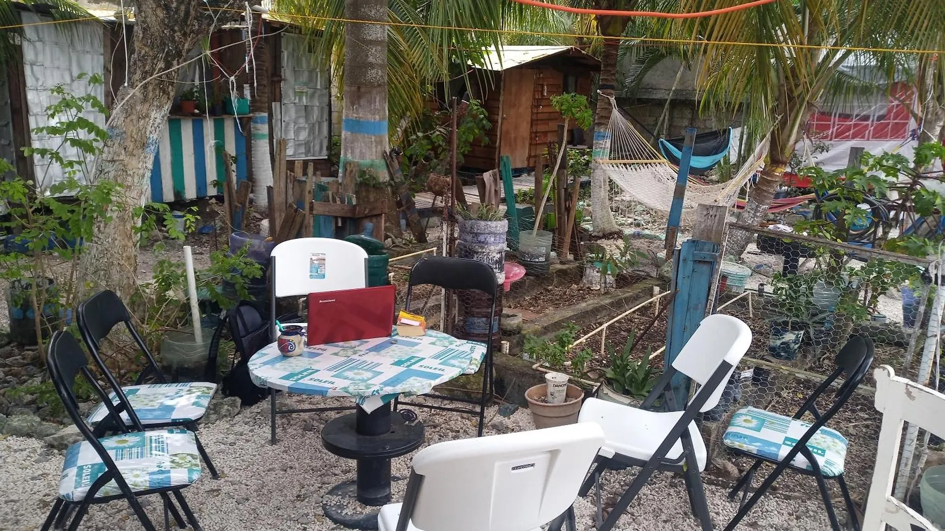 Voluntary & Camping Cozumel